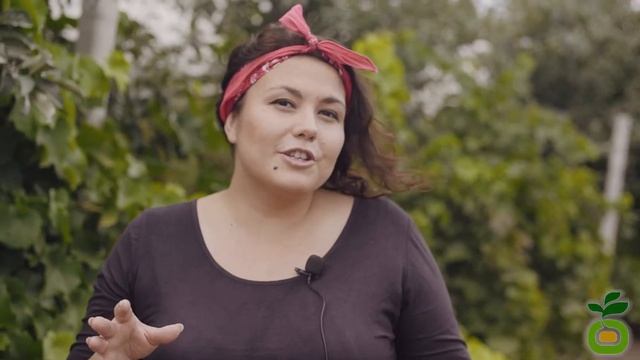 Если вы хотите попробовать что-то новенькое - томат Ре?