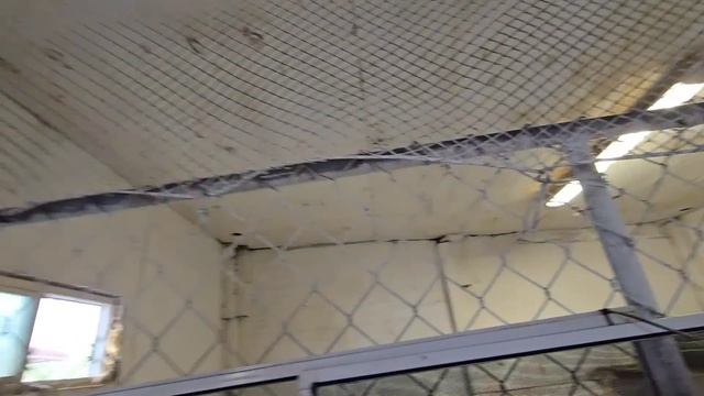 МНЕ ГОВОРИЛИ - 