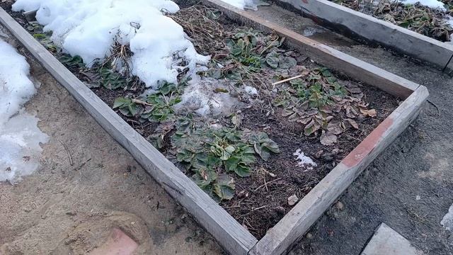 Открытие дачного сезона 2025