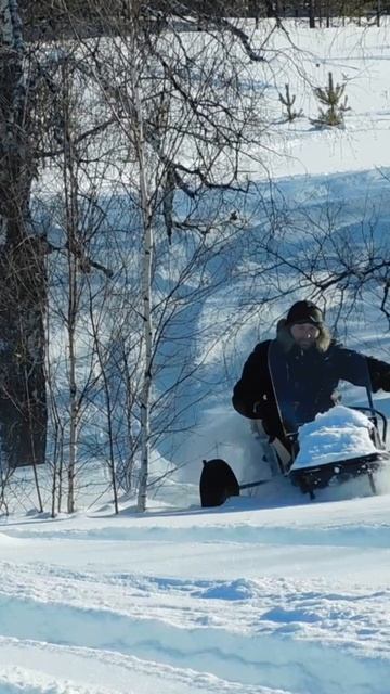 Мотобуксировщик ORR-73 20 л.с.