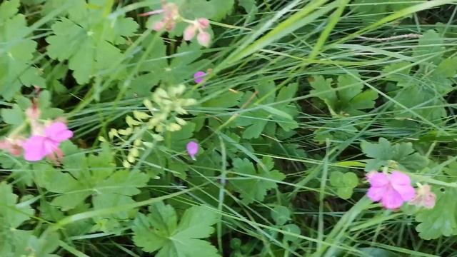 Ee986f32c16139e607785ee861c57acb