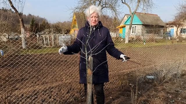 Что укрывать, что открывать в саду и в огороде в марте?