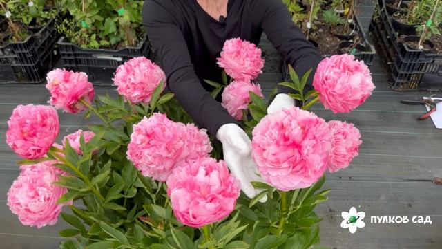 750724472f9d19ca3076605b31a2112f