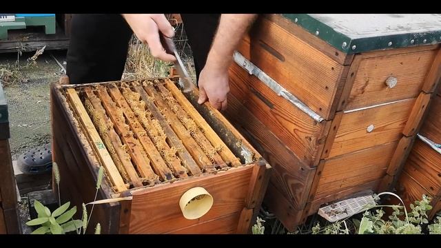 Как на 99% безопасно заменить маток!