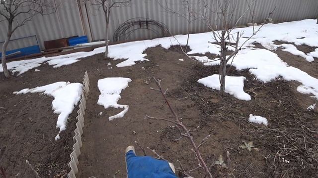 Как обрезать больные деревья