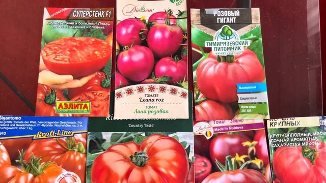 У МЕНЯ НЕ ВСХОДЯТ СЕМЕНА ТОМАТОВ!🆘КАКАЯ ПРИЧИНА❓❓❓