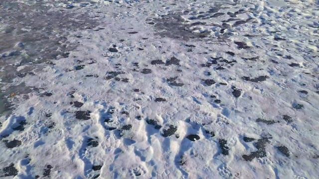 ОДНИ ЁЛКИ В ЛЕСУ. ТОНКИЙ ЛЕД НА РЕКЕ. ПАРК СУКРЕМЛЬ.