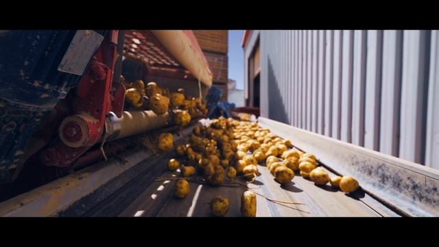 85efca464f7e6c8bf799d1e1b105acac