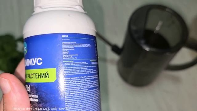 ЖАЛЕЮ, ЧТО не укореняла ГЕРАНЬ так раньше бюджетно, бы?