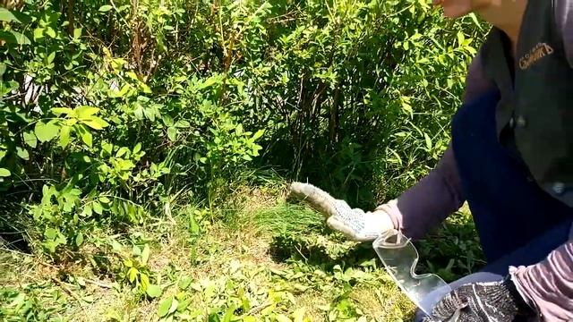 366a85b45119ef9fc25964dc25e37bcb