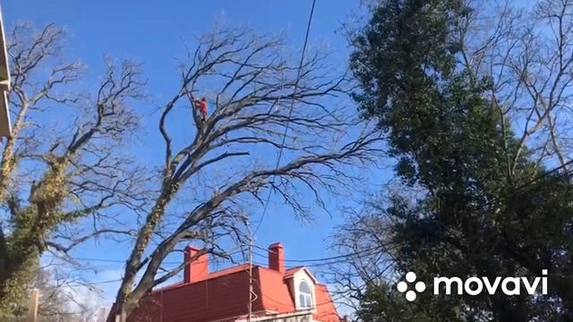 35f111ab4207d7356387298db0372ae9