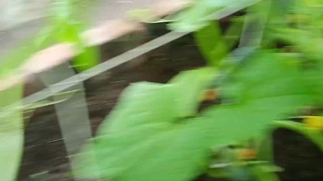 C42bdf9c3d58a4556094bd46ec733971