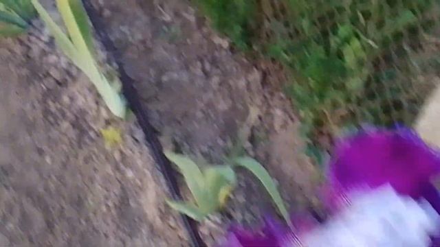 D0fc36205524069f2d2f086487123964