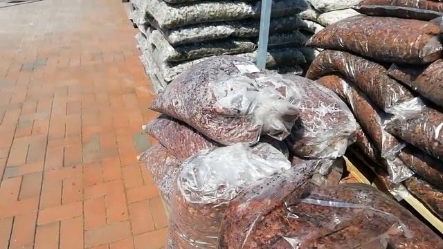 Мечтаю о саде. Выбираю растения.#переездвкалининград #