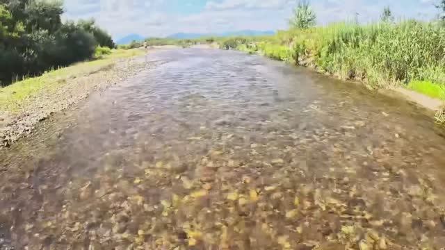 Отдых на севере Приморского края