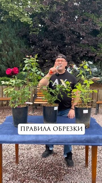 E1fa1babd2588c05de572b6630c8007d