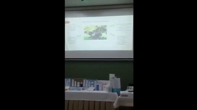 дудник гигантский и хемохим