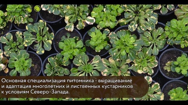 D403147085bcb4b008c894c03491c92d