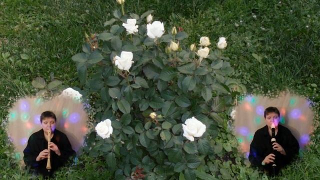 B9c7832e1ccf925e9f225c61acc18d83