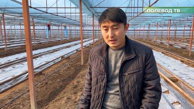 ПОДГОТОВКА ТЕПЛИЦЫ К НОВОМУ СЕЗОНУ. 1 ЦИКЛ 3 СЕРИЯ #агро