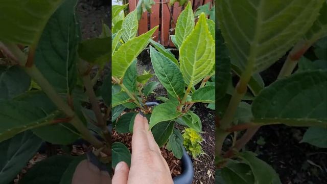 E1f4939d845123402b3afc32ec0aff44