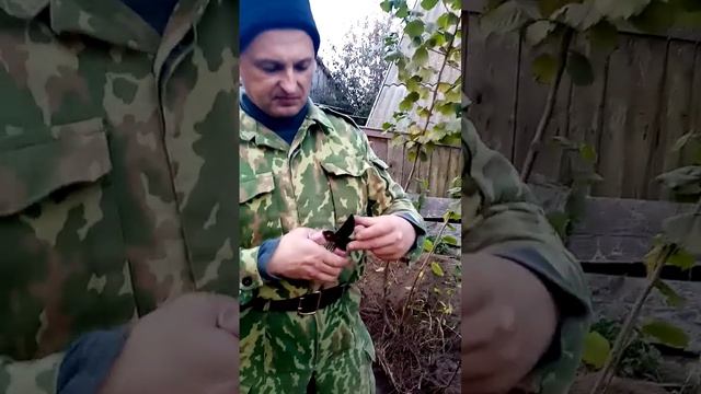 Зелёный фундук (Барселонский). Размножение.Часть 1.