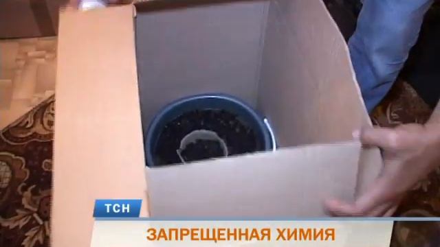 Пермяк организовал дома мини-лабораторию по выращива?