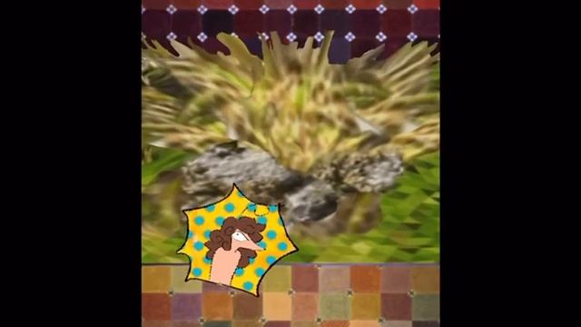 Fa068367b3d5bcbb6a7cc40cf809e9b8