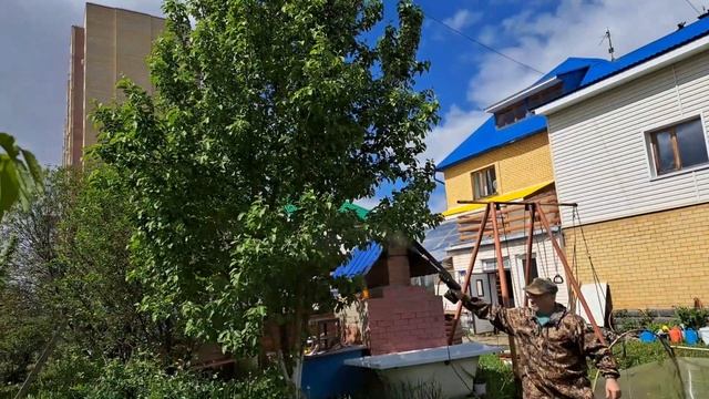 Как быстро и легко обработать сад от вредителей. Из ли?