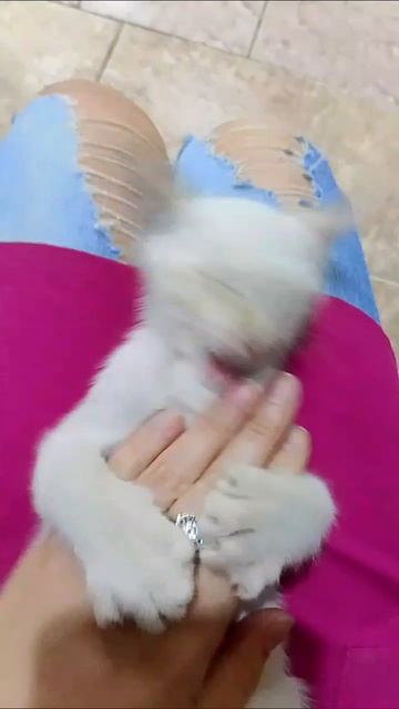 A9429159cf84d8892dc97c739f94b639