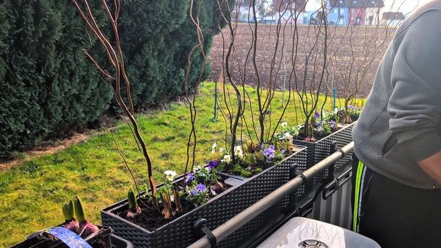 весенние ЦВЕТОЧНЫЕ композиции - часть первая 🌸🌸🌸 Fr?