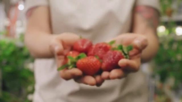 ПОЛЕЙТЕ ЭТИМ клубнику весной  ВАС ЗАВАЛИТ КРУПНОЙ ЯГО?