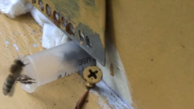 4c1119661c79b5cb104a2ed7e6ddad33