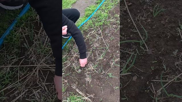 0af96bf9bd61319014c8d4e89647f3b7