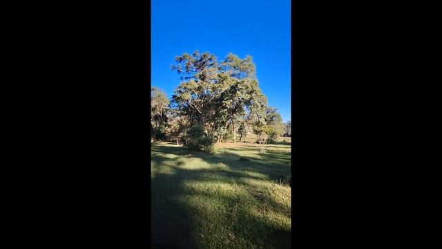 D8499171a66f0dca72f69efe9949e242