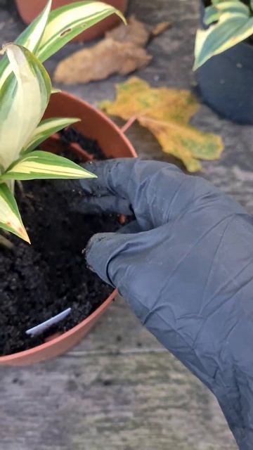 1dd667bdcc4c9d76552cebc30b6dcb05