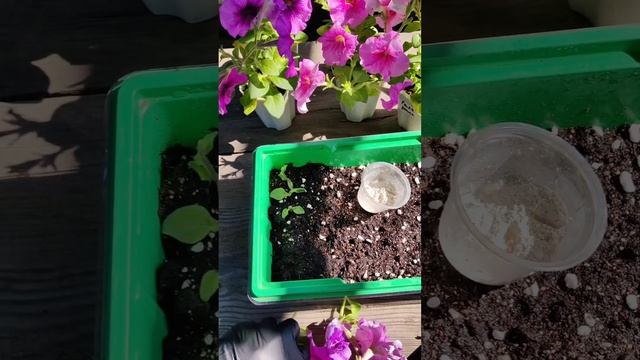 12b2ed3ce388666d1700b83dfa3e4706