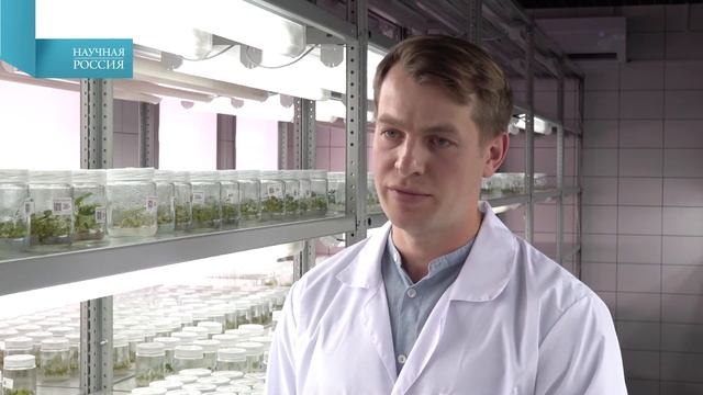 Комментарий Лавра Андреевича Крюкова, заведующего ла?