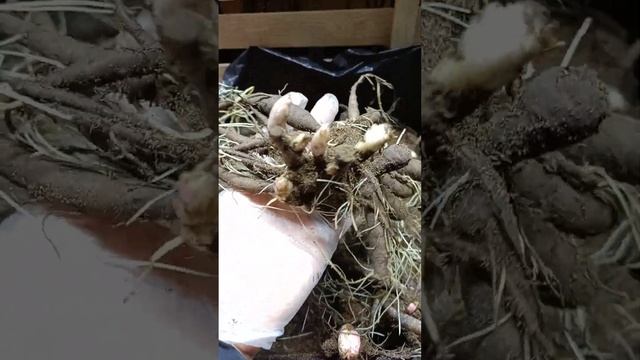 B66dd7d332171be6712b0973f4e69c82