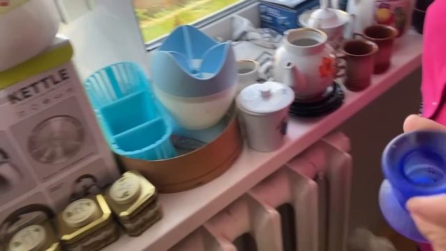 Моя поездка в гости к Светлане в Молодечно — обзор дач