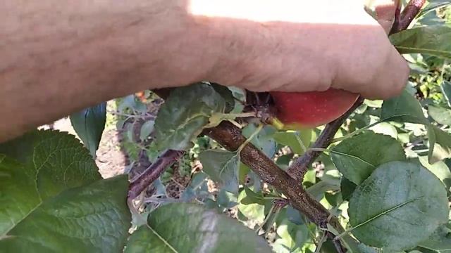 48e1f86d723ec2a225d97a8f142231cd