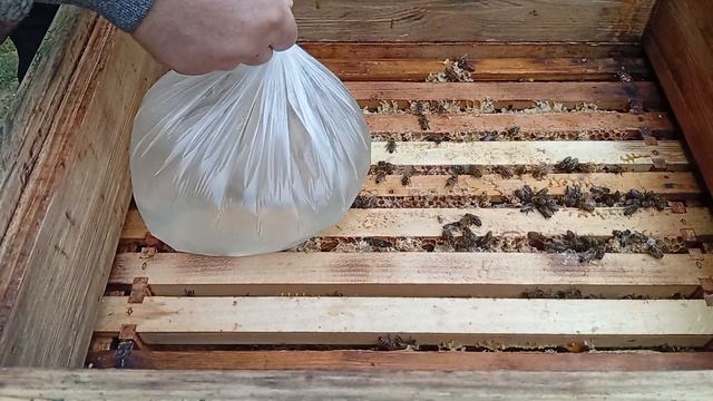 1ЧАСТЬ ,СИРОП ,ОБРАБОТКА ПРОТИВ КЛЕЩА 🐝🐝🐝ПОДГОТАВЛ?