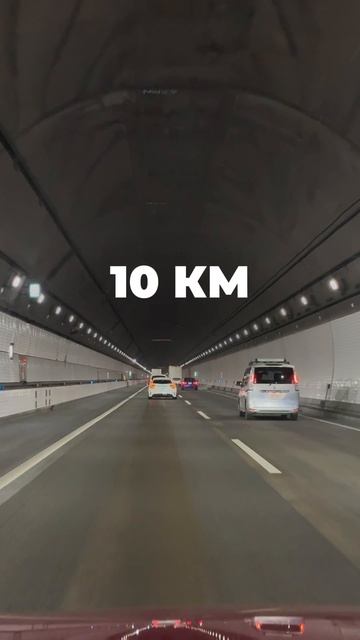 Как мы потерялись в токийских эстакадах по дороге к горе Фудзи ⛰️🇯🇵#путешествия  #горы  #япония