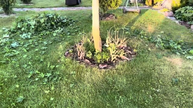 Bd6d7159b63eb96089985a7d17dbb0c3