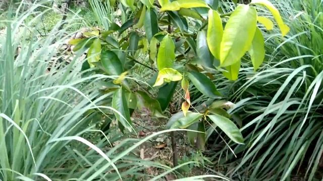 Fcad93604820995466e10b19082fb0c7