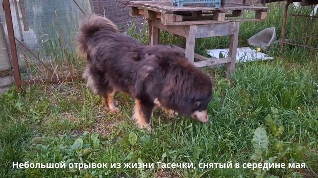 Из огня да в полымя  Теперь жара за 30 градусов!