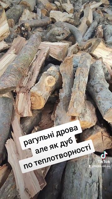 1ec6c3a8c987f7cc9708887740ba0ac4