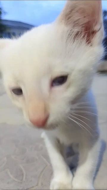 420ab1c3e1dedafe5d90ba1777b7db39