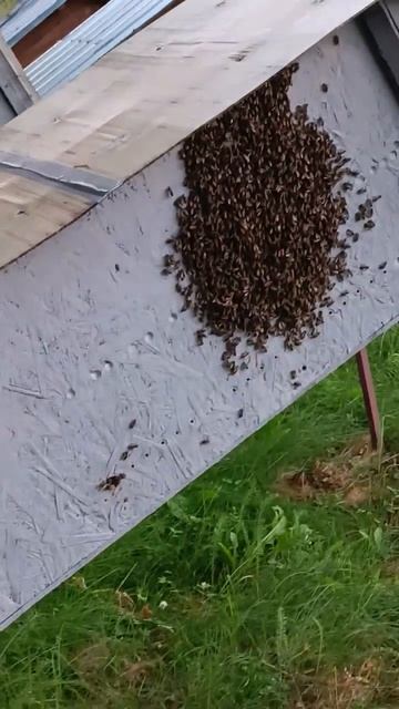 0c8085f0c633671fe46110280f2e6204