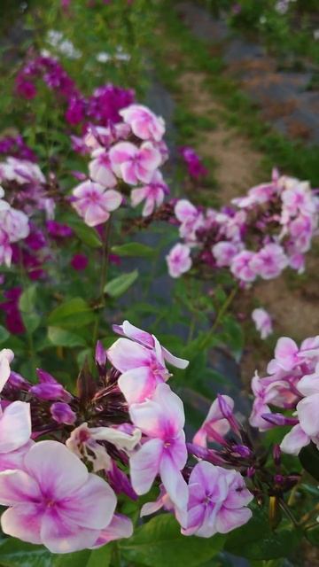 009f4e4f537679088d72b98769adb860